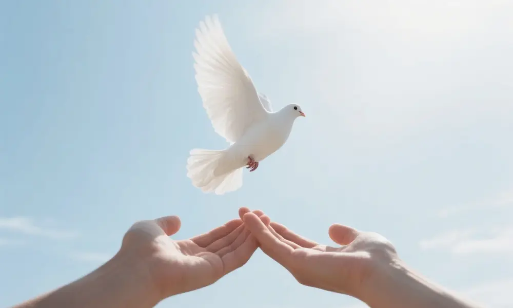 Hands releasing doves, light, freedom from bitterness, forgiveness